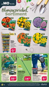 NETTO Prospekt - Angebote ab 18.08.