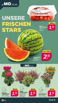 NETTO Prospekt - Angebote ab 25.08.