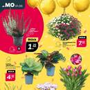 NETTO Prospekt Seite 2