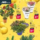 NETTO Prospekt Seite 2