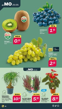 NETTO Prospekt - Angebote ab 29.09.
