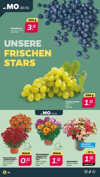 NETTO Prospekt - Angebote ab 20.10.