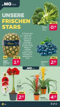 NETTO Prospekt - Angebote ab 17.11.