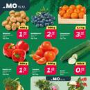 NETTO Prospekt Seite 2