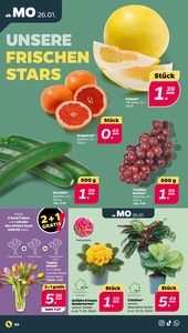 NETTO Prospekt - Angebote ab 26.01.