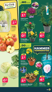 NETTO Prospekt - Angebote ab 23.02.