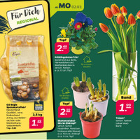 NETTO Prospekt Seite 3