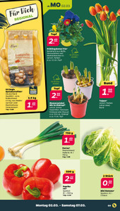 NETTO Prospekt - Angebote ab 02.03.