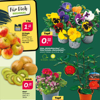 NETTO Prospekt Seite 3