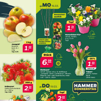 NETTO Prospekt Seite 3