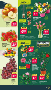 NETTO Prospekt - Angebote ab 16.03.