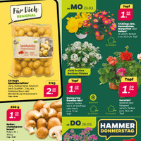 NETTO Prospekt Seite 3