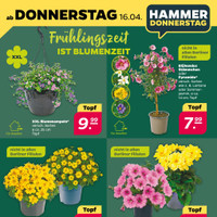 NETTO Prospekt Seite 34