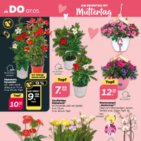NETTO Prospekt Seite 34