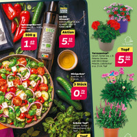 NETTO Prospekt - Blumen
