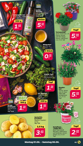 NETTO Prospekt - Angebote ab 01.06.
