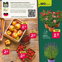 NETTO Prospekt Seite 3