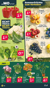 NETTO Prospekt - Angebote ab 27.07. - Seite 2