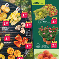 NETTO Prospekt Seite 3