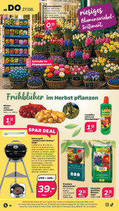 NETTO Prospekt - Angebote ab 24.08.