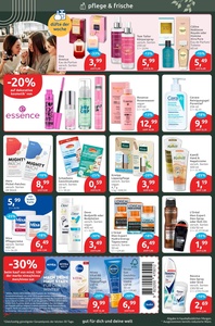 BUDNI Prospekt - Angebote ab 19.01.