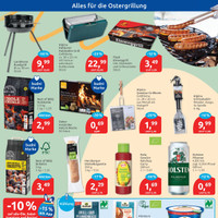 BUDNI Prospekt - Grillen