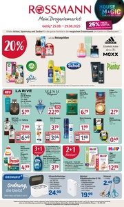 Rossmann Prospekt - Angebote ab 25.08.