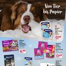 Rossmann Prospekt Seite 19