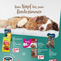 Rossmann Prospekt Seite 16