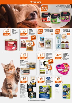 Müller Prospekt - Geschenkideen