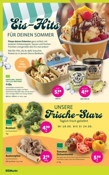 BioMarkt Prospekt - Festival Summer