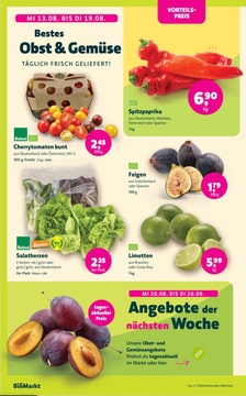 BioMarkt Prospekt - Angebote ab 13.08.