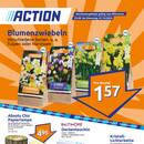 Action Prospekt - Blumen