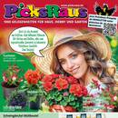 Picks Raus Prospekt - Blumen