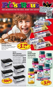 Picks Raus Prospekt - Angebote ab 10.11.
