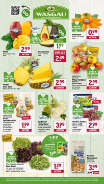 WASGAU Prospekt - Angebote ab 27.10.