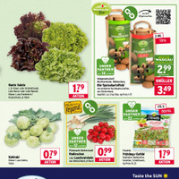 WASGAU Prospekt Seite 7