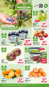 WASGAU Prospekt - Angebote ab 14.09.