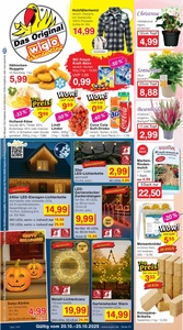 Wiglo Wunderland Prospekt - Angebote ab 20.10.