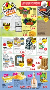 Wiglo Wunderland Prospekt - Angebote ab 26.01.