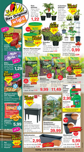 Wiglo Wunderland Prospekt - Angebote ab 23.03.