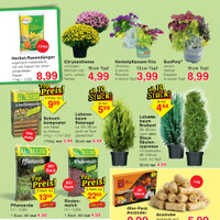 Wiglo Wunderland Prospekt - Blumen