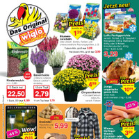 Wiglo Wunderland Prospekt - Blumen