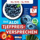 ALDI SÜD Prospekt - Obst & Gemüse