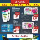 ALDI SÜD Prospekt - Obst & Gemüse