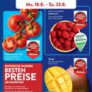 ALDI SÜD Prospekt - Obst & Gemüse