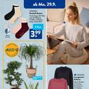 ALDI SÜD Prospekt Seite 2