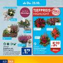 ALDI SÜD Prospekt - Handy & Smartphone