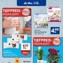 ALDI SÜD Prospekt - Blumen