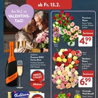 ALDI SÜD Prospekt Seite 15
